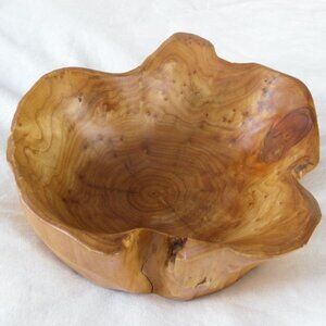 Natural Burlwood Tree Trunk Root Bowl -- Decorative or as a Succulent Planter